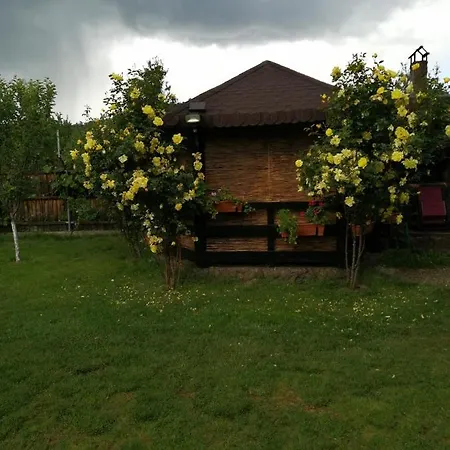 Conacul Caterinei Casuta Din Povesti Holiday home Polovragi