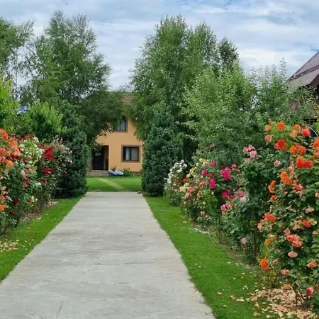 Holiday home Conacul Caterinei Casuta Din Povesti *